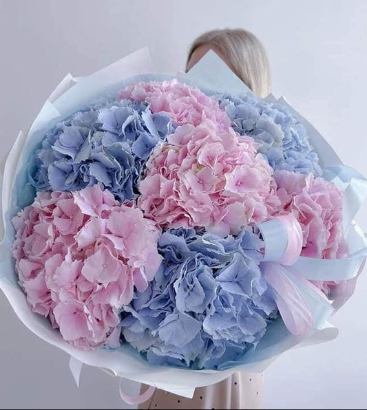 Pink and Blue Hydrangea Flowers!